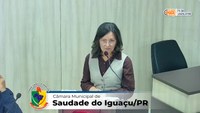Debates sobre Decreto Municipal Nº 51/2026  marcam tribuna da Câmara na 12ª Sessão Ordinária